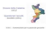 Diocesi della Calabria: 10/12 Questionari raccolti: 344/865 (28%) C.E.C. – Commissione per la pastorale giovanile.