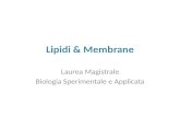 Lipidi & Membrane Laurea Magistrale Biologia Sperimentale e Applicata.