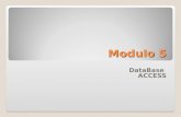 Modulo 5 DataBase ACCESS. Informazioni e Dati INFORMAZIONI vengono scambiate con linguaggio scritto o parlato DATI rappresentazione di informazioni in.
