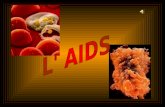 La diffusione del virus in Africa La struttura del virus HIV.