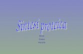 Dove Come Perchè. Cos’è la sintesi proteica La sintesi proteica è il processo che porta alla formazione delle proteine, a partire dall’unione degli AA,