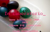 In Laboratorio_ Anno Scolastico 2009-2010 Classe 2^G (indirizzo scienze) Liceo Scientifico “D.Bramante”