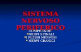 SISTEMA NERVOSO PERIFERICO COMPRENDE: NERVI SPINALI NERVI SPINALI I PLESSI NERVOSI I PLESSI NERVOSI NERVI CRANICI NERVI CRANICI.