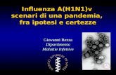 Influenza A(H1N1)v scenari di una pandemia, fra ipotesi e certezze Giovanni Rezza Dipartimento Malattie Infettive.