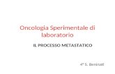 Oncologia Sperimentale di laboratorio IL PROCESSO METASTATICO 4° S. Beninati.