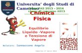 1 Chimica Fisica Equilibrio Liquido -Vapore e Tensione di Vapore Universita’ degli Studi di Camerino Corso PAS 2013 – 2014 classe di concorso A013 Relatore: