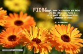 I fiori, sono le creature più dolci che Dio abbia mai fatto e alle quali si sia dimenticato di infondere un’anima. H. W.Beecher.