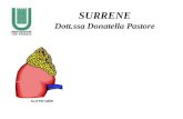 SURRENE Dott.ssa Donatella Pastore. Il surrene è un organo pari, di forma piramidale (4-6g), situato sulla superficie antero-mediale del polo superiore.