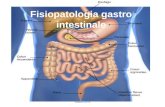 Fisiopatologia gastro intestinale nabissi 2014. Esofago Atresia esofagea e fistula tracheo-esofagea Malformazioni congenite o sviluppate in seguito a.