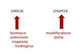VIRUS OSPITE farmaco modificatore antivirale della risposta biologica.
