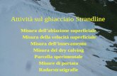 Attività sul ghiacciaio Strandline Misura dell’ablazione superficiale Misura della velocità superficiale Misura dell’innevamento Misura del dry calving.