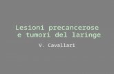 Lesioni precancerose e tumori del laringe V. Cavallari.