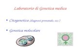 Laboratorio di Genetica medica Citogenetica (diagnosi prenatale, ecc.) Genetica molecolare.