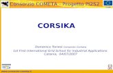 Www.consorzio-cometa.it FESR Consorzio COMETA - Progetto PI2S2 CORSIKA Domenico Torresi Consorzio Cometa 1st First International Grid School for Industrial.