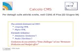 22/09/2004 P. Capiluppi - CSN1 Assisi Calcolo CMS Per dettagli sulle attività svolte, vedi CSN1 di Pisa (22 Giugno 04) Due attività dominanti nel 2005: