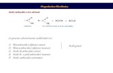 Propedeutica Biochimica Acidi carbossilici e loro derivati Si possono ulteriormente suddividere in: 1)Mocarbossilici alifatici saturi 2)Monocarbossilici.