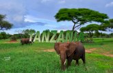 (DEJARLO CORRER SOLO) Il Parco Nazionale del Tarangire (in inglese Tarangire National Park) è un'area naturale protetta della Tanzania settentrionale.