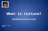 What is culture?