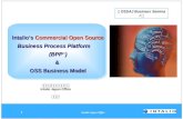 Commercial Open Source BPP (Business Process Platform) & OSS Business Model