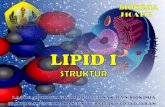 Lipid 1 biokimia 2011