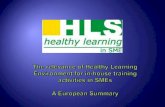 Healthy learning in sme presentation of the situations in the partner countries 2