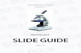 Histology slide guide