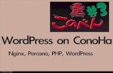 Word press on conoha このべん #3