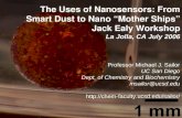 The Uses of Nanosensors: From Smart Dust to Nano “Mother Ships”