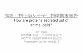 高等生物化學及分子生物學期末報告 How are proteins secreted out of Animal Cells
