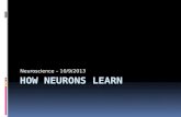 Neurons, Learning, and Dopamine