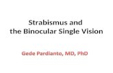 Gede Pardianto - Strabismus, binocular vision, 3D vision and visual illusion