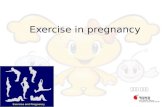 Exercise during pregnancy - 채용화 제일병원 전임의