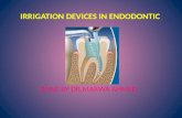 Endodontic irrigating devises