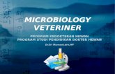 Microbiology veteriner1 pendahuluan