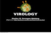 Virology lec 1:2012