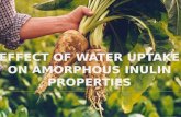 Effect of water uptake on amorphous inulin properties2