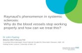 Raynaud’s phenomenon in systemic sclerosis: Why do the blood vessels stop working properly and how can we treat this?