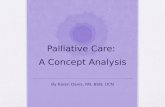 Palliative care a concept analysis