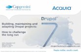 Building, maintaining and adapting Drupal projects: How to challenge the long run