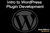 Intro to WordPress Plugin Development