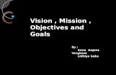 vision, mission, goals and objectives