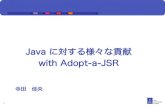 Adopt A JSR for Japanese JUG