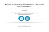 Métodos Adaptativos de Minería de Datos y Aprendizaje para Flujos de Datos.