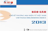 Báo cáo chỉ số TMDT Việt Nam 2013