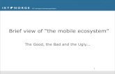 Brief View of the Mobile Ecosystem - The Good, the bad, the Ugly