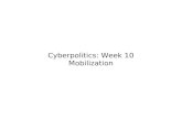 Cyberpolitics 2009 W10