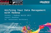 Unifying your data management with Hadoop