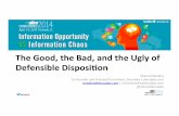 The Good, The Bad, and The Ugly of Defensible Disposition
