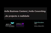 Avila Business Center-Avila Coworking-Case Study ISCAL 2014-Mestrado Gestao Empreedorismo