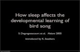 How sleep affects the developmental learning of bird song